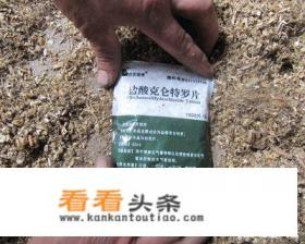 什么是瘦肉精？猪饲料中加入瘦肉精对人的危害有哪些