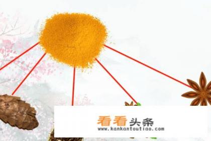 咖喱粉和咖喱块如何区别