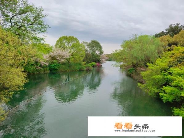 微商团体旅游去哪里玩好