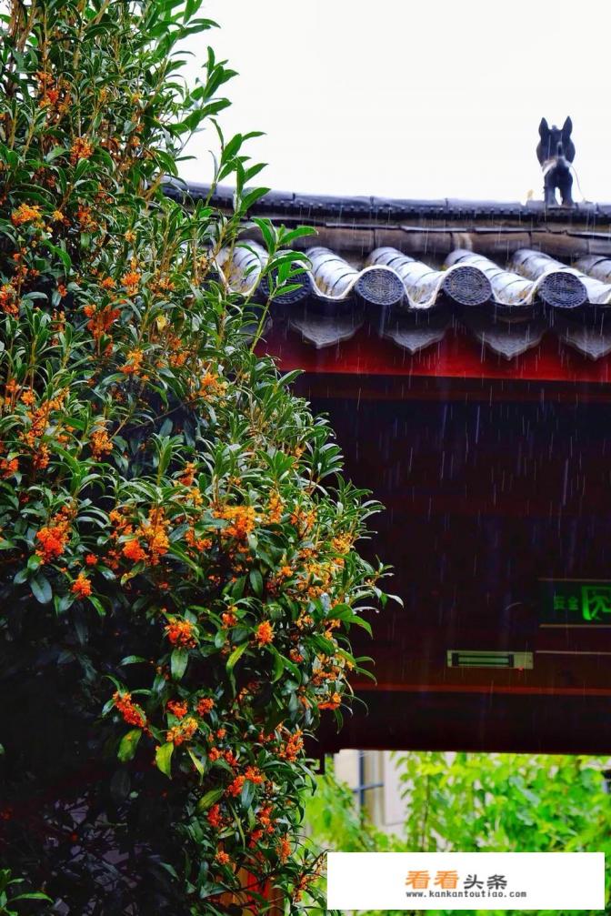 去丽江玩四天时间，丽江哪些地方比较适合短期旅行