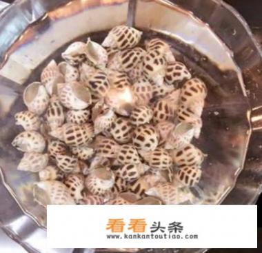 怪味烧籽乌、姜芽扇贝怎么 *** 