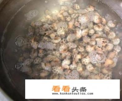 怪味烧籽乌、姜芽扇贝怎么 *** 