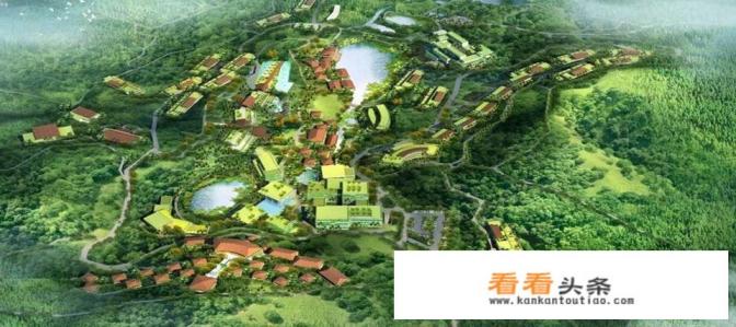 农业+旅游+康养综合农旅产业化，如何进行特色创意规划