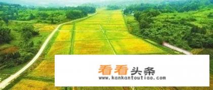 农业+旅游+康养综合农旅产业化，如何进行特色创意规划