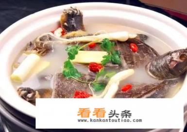甲鱼怎么做好吃，五花肉烧甲鱼的家常做法