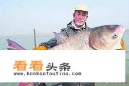 有人说白鲢不好吃，可为什么还有那么多人去养它呢