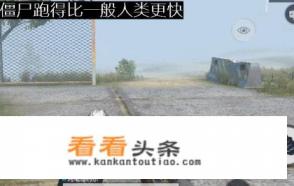 steam游戏吃鸡类型的游戏