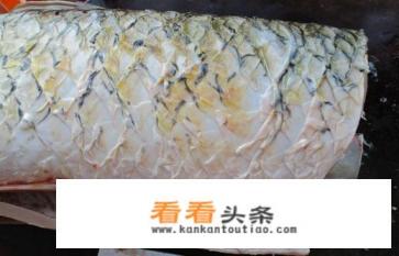 酸菜鱼片怎么做