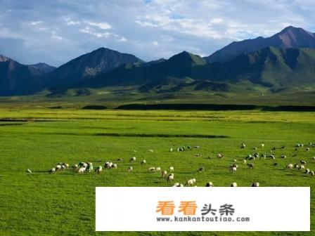 为草原写一条宣传语吸引大家到草原旅游并提醒大家注意保护生态环境