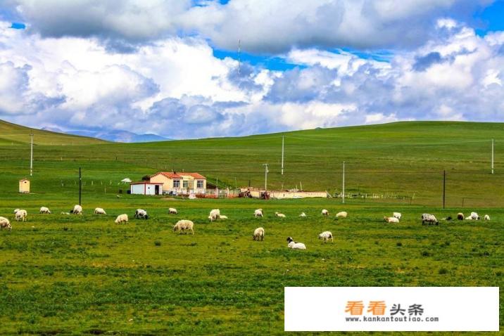为草原写一条宣传语吸引大家到草原旅游并提醒大家注意保护生态环境