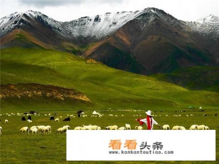 为草原写一条宣传语吸引大家到草原旅游并提醒大家注意保护生态环境