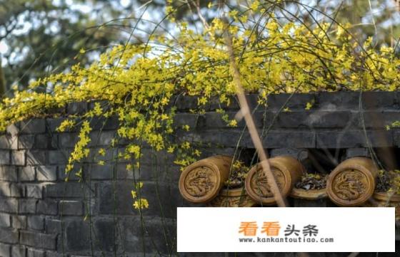 在家里呆着太久了，好想出去旅游走走看看哦！你们是怎么想的呢