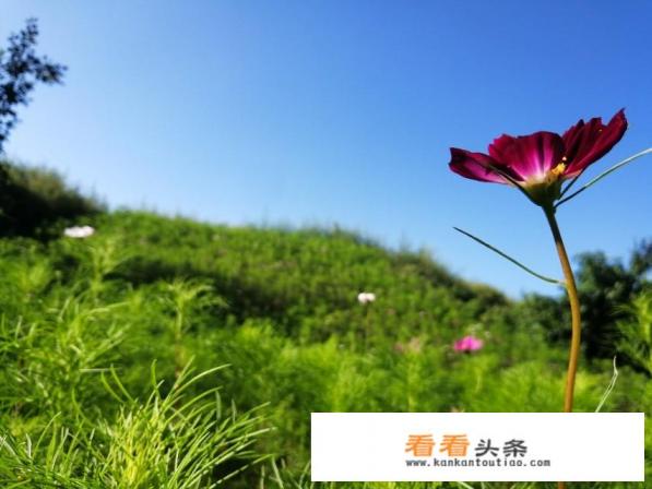 在家里呆着太久了，好想出去旅游走走看看哦！你们是怎么想的呢