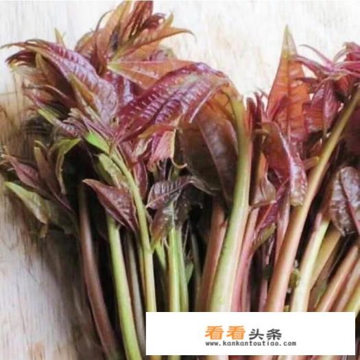 香椿芽炒鸡蛋怎么做
