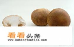 草菇的背面一层发黑了,不新鲜了,还能吃吗
