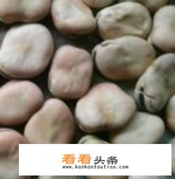 胡豆瓣酱的 ***  *** 