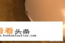 双皮奶最正宗的做法