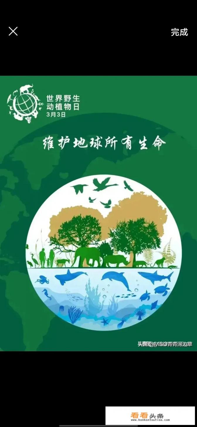 投毒牛蛙致全部死亡，会受到怎样的处罚