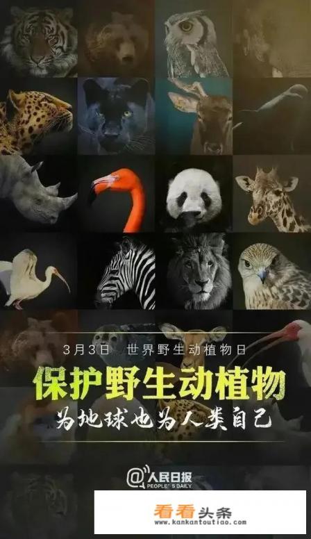 投毒牛蛙致全部死亡，会受到怎样的处罚