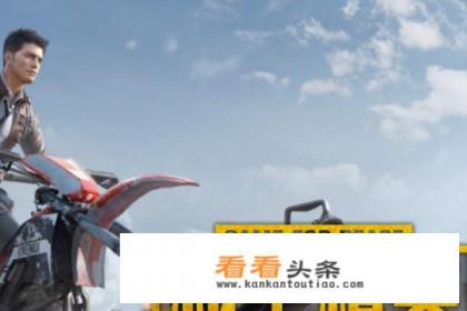 和平精英怎么设置待机动画