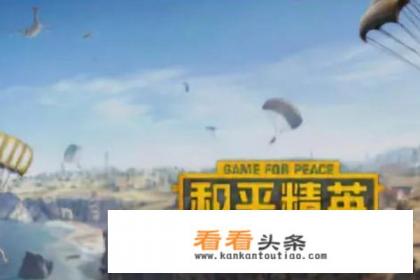和平精英怎么设置待机动画