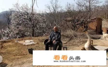 齐某之子寻父亲遗骨中孱的读音