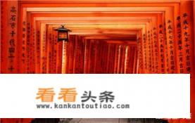 第一次出国打算去日本，是跟团游好还是自由行好？玩10天左右，适合选择什么路线