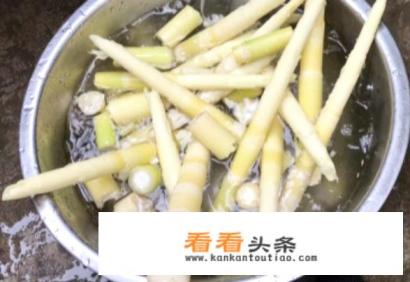 干竹笋怎么泡发最快