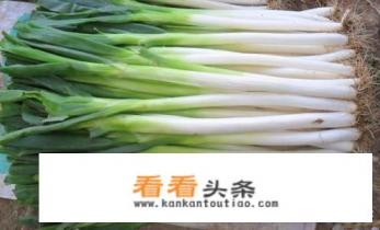 大葱的功效与作用及禁忌分别是什么