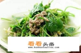 清淡温和的食物有那些