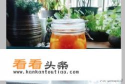 杏子酒的做法