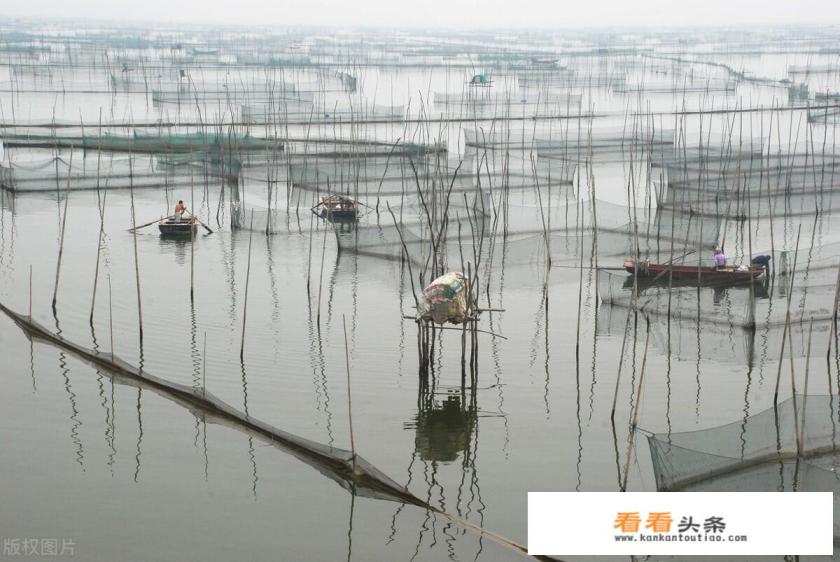 郓城、梁山、东平、阳谷这四个地方如何打造好水浒文化旅游链