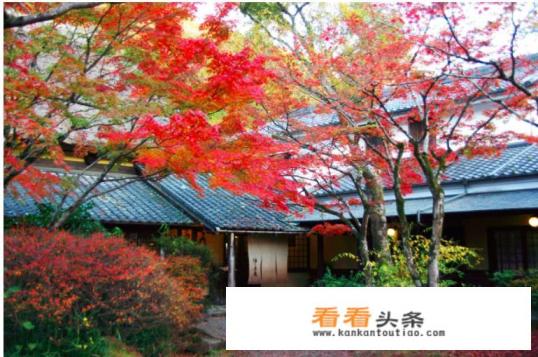 为什么台风都是日本发布的