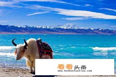 好多女大学生独自一人去旅游，这是什么心态