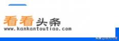 IP代理软件哪个好