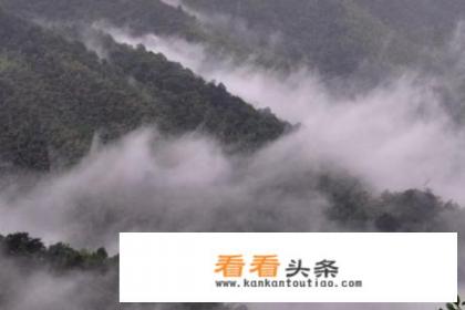 庐山旅游攻略一日游，有哪些必去的景点？怎么玩才更充实
