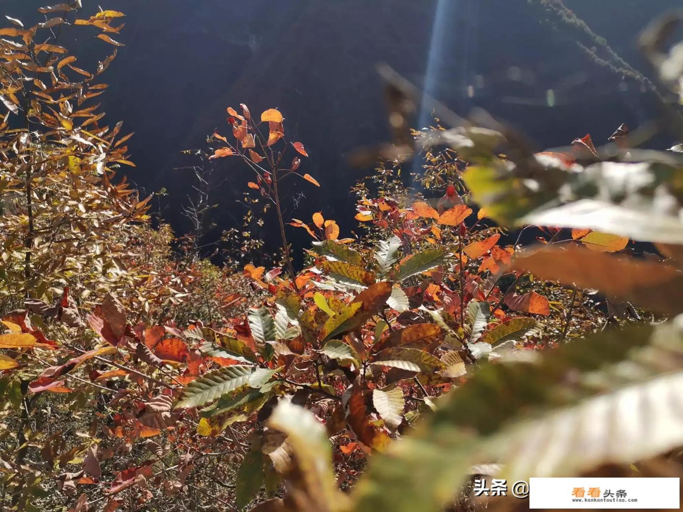 西安秋季适合逛的景点