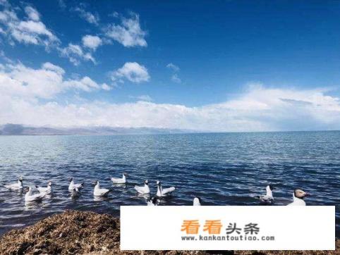 未来什么样的旅游产品更受欢迎
