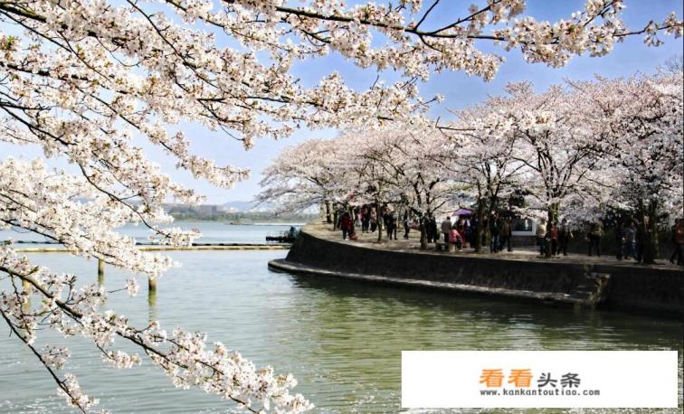 苏州太湖湿地公园游玩攻略路线