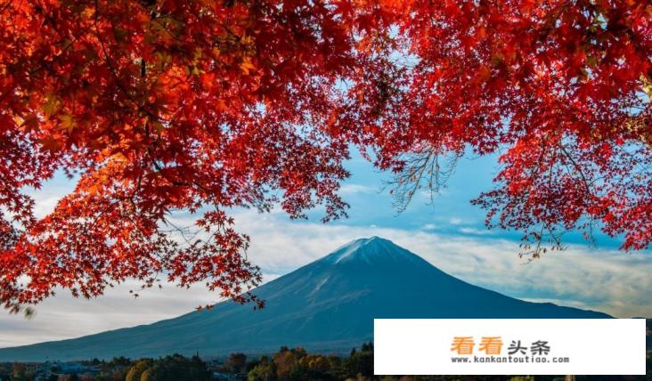 去日本旅游用自己带烧水壶吗？有什么需要注意的吗