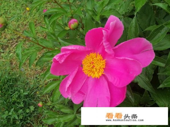 夏天到了，选一个北方城市区旅游，你会选哪个