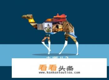 有哪些大的旅游网站