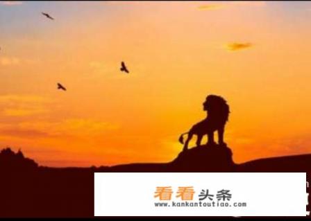 沧州有没有好玩又不用花钱的景点，推荐下，谢谢