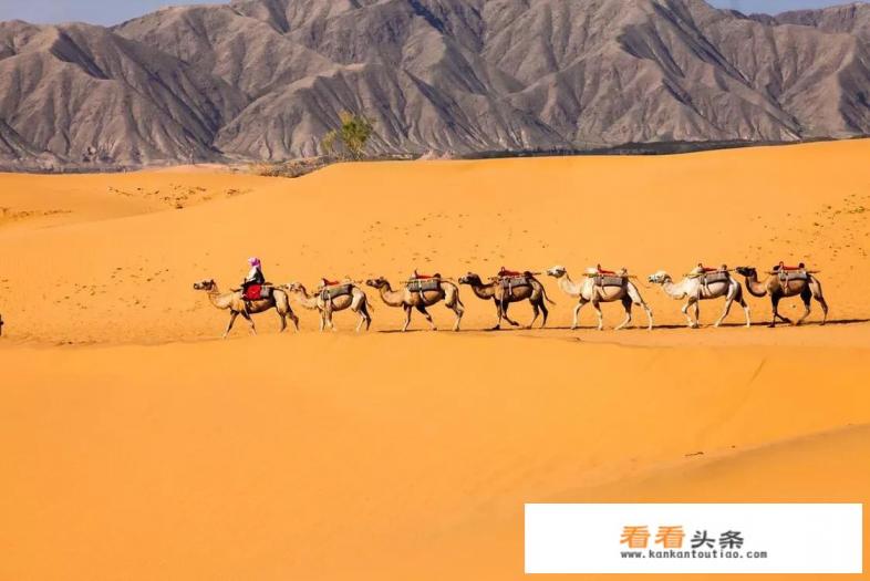 我从乌鲁木齐市自驾出发，目的地是青岛，沿途旅游，线路该怎么走
