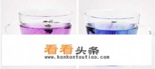 用黑枸杞泡水有什么好处？如何正确泡黑枸杞