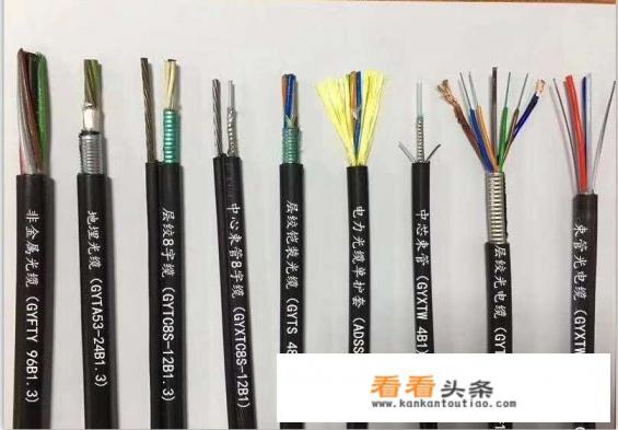 头条号哪一类视频最热，为什么