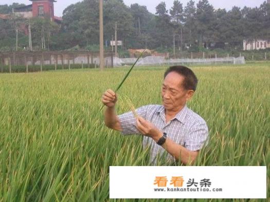 华为辟谣了，你对此怎么看