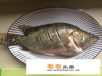清蒸桂鱼的正确做法家常版
