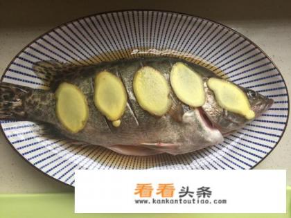 清蒸桂鱼的正确做法家常版