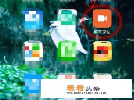 屏幕录制软件没有声音怎么解决